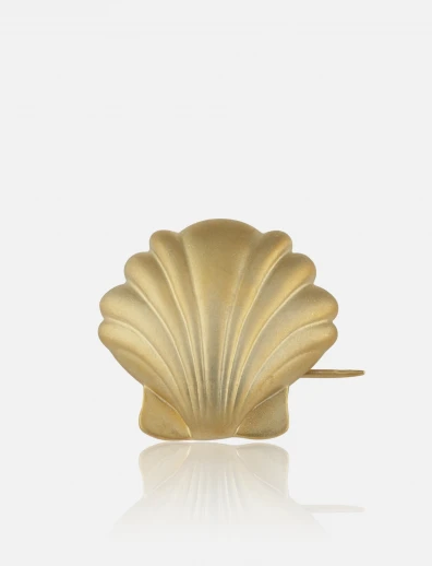 Shell Brooch