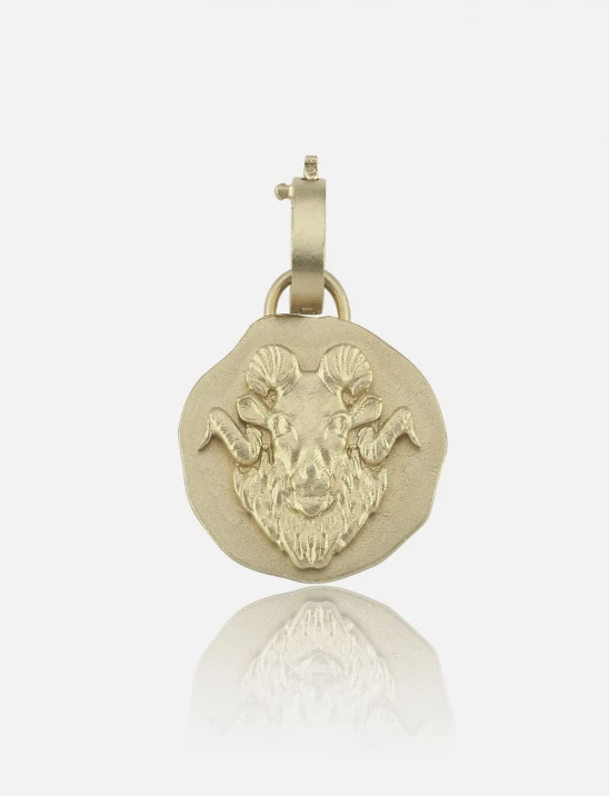 Golden Zodiac Charm