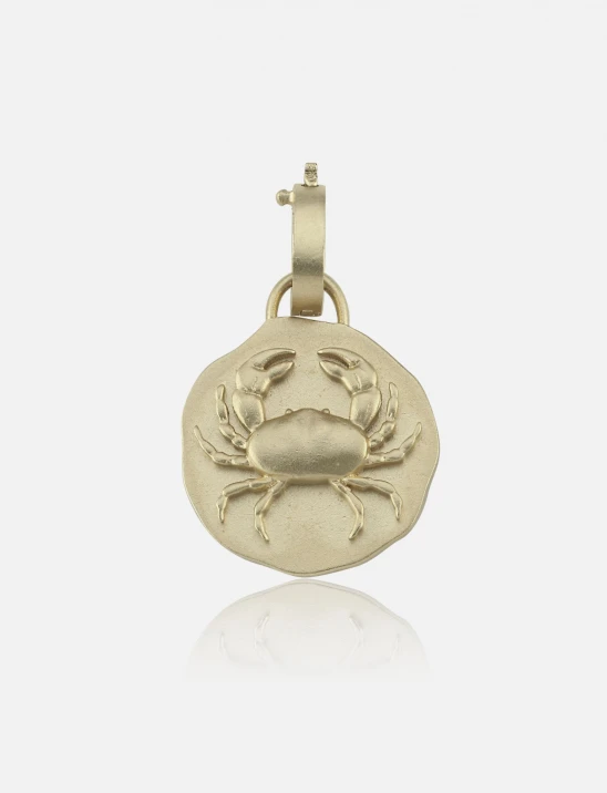 Golden Zodiac Charm