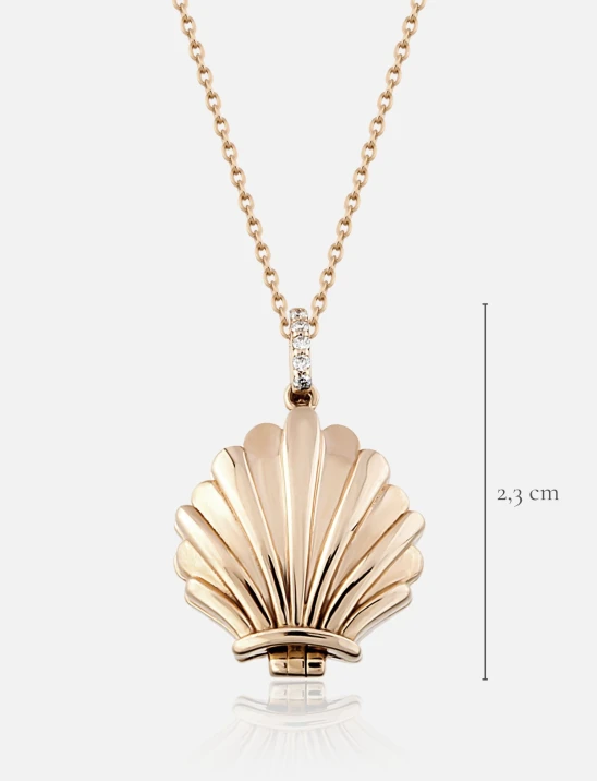 Shell Locket
