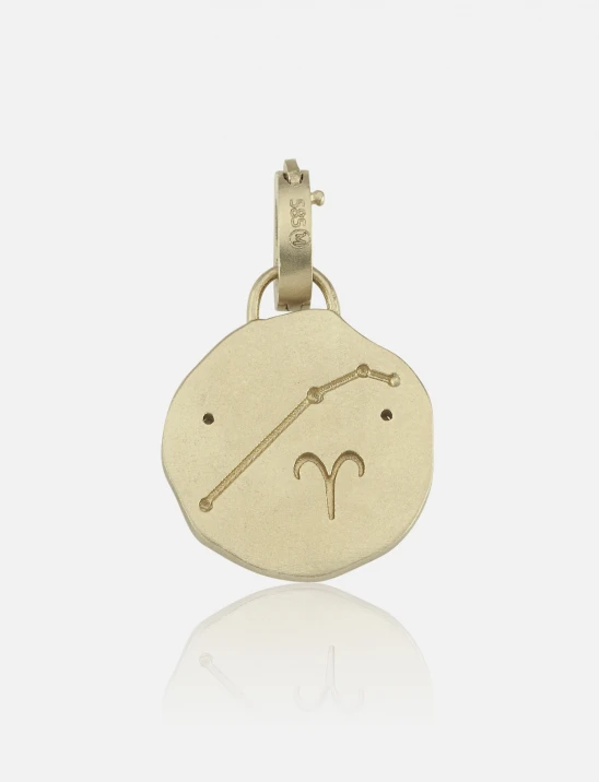 Golden Zodiac Charm