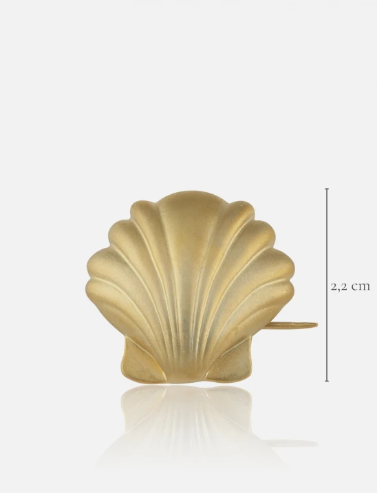 Shell Brooch