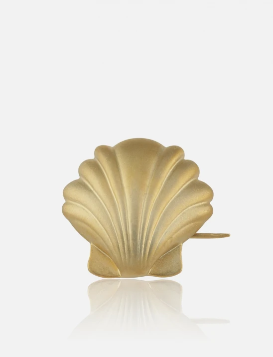 Shell Brooch