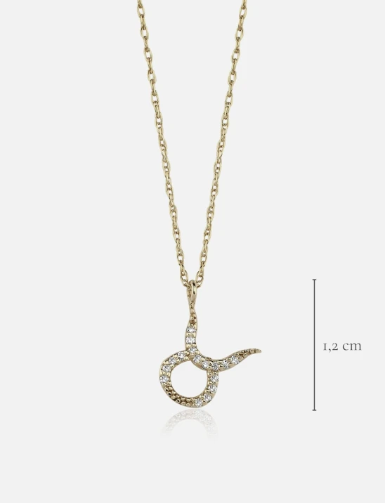 Mini Zodiac Necklace (Boğa)