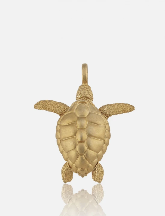 Tortoise Locket Charm